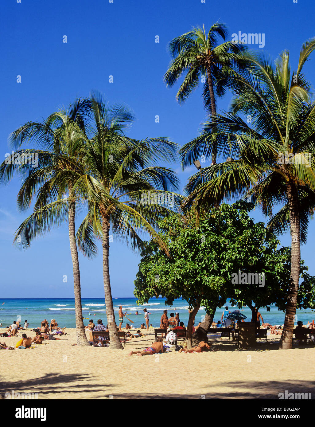 2106 Waikiki Oahu Hawaii USA Stock Photo - Alamy