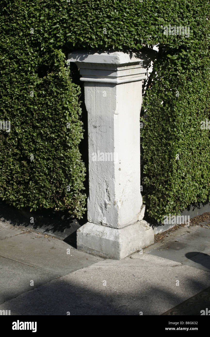 White pillar, green hedge Stock Photo