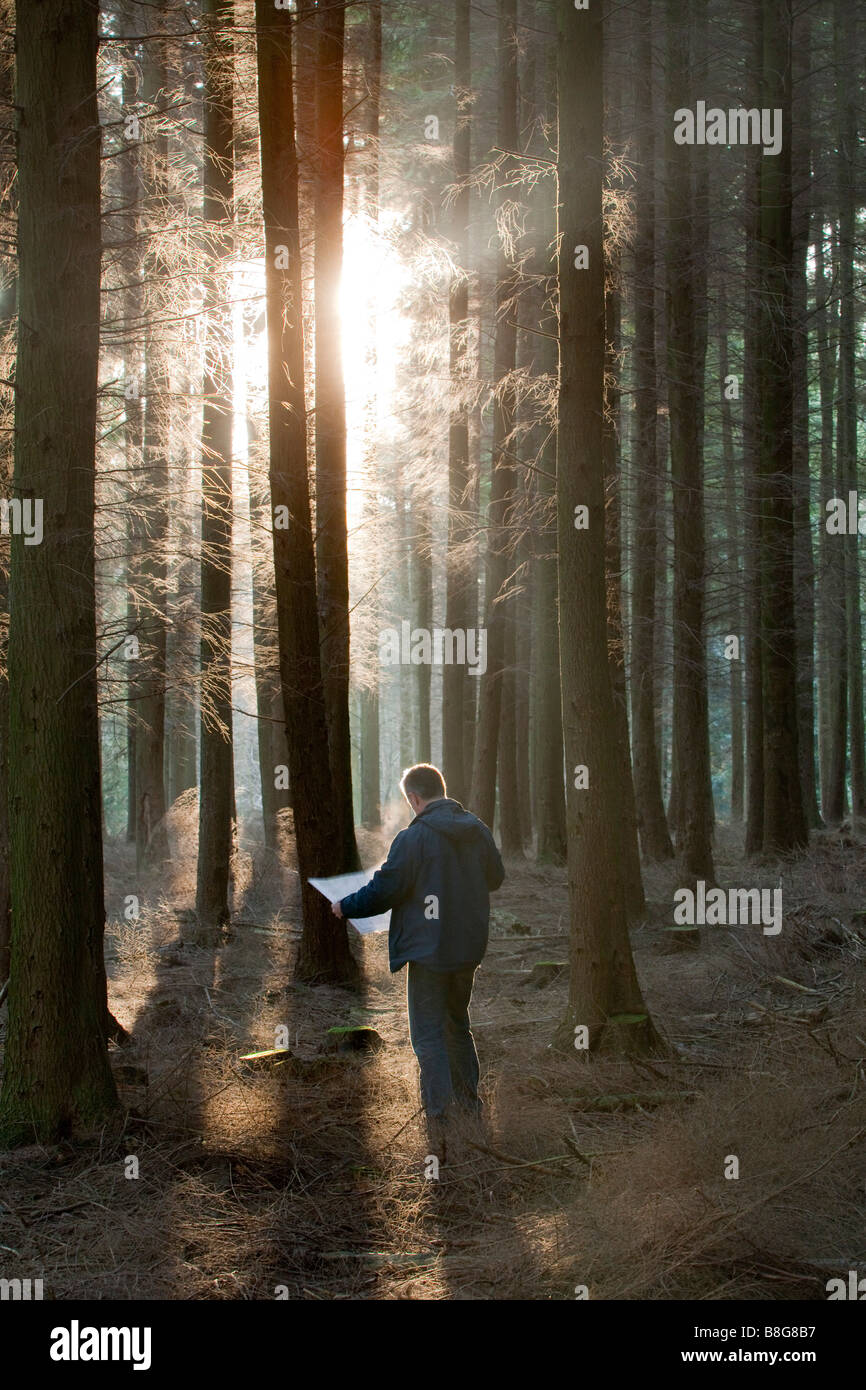 Man looking at a map in dense forest woods lost Stock Photo