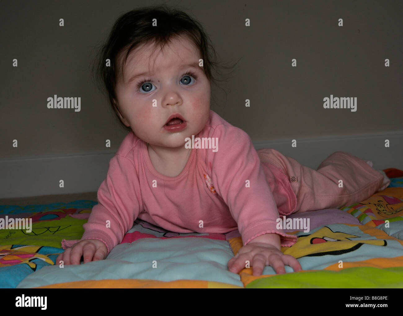 A baby girl learning to crawl Stock Photo