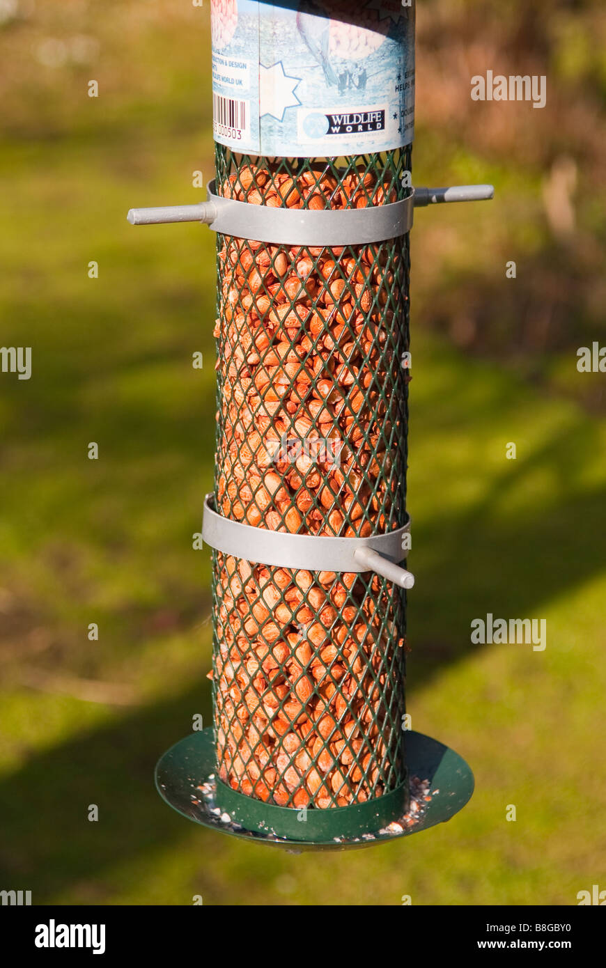 A bird feeder full of peanuts for feeding garden birds in the uk Stock
