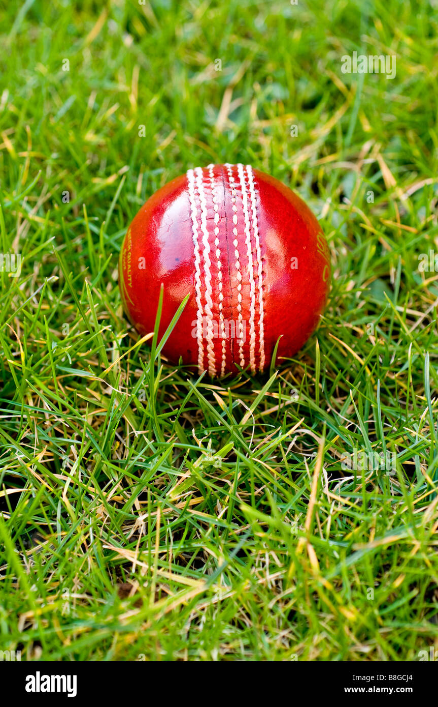 England Cricket Team Ashes Win Team Stock Photos & England Cricket Team