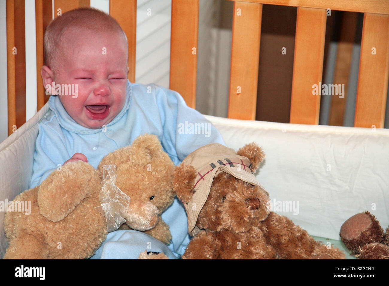 Crying baby boy in crib with teddy bears Stock Photo Alamy