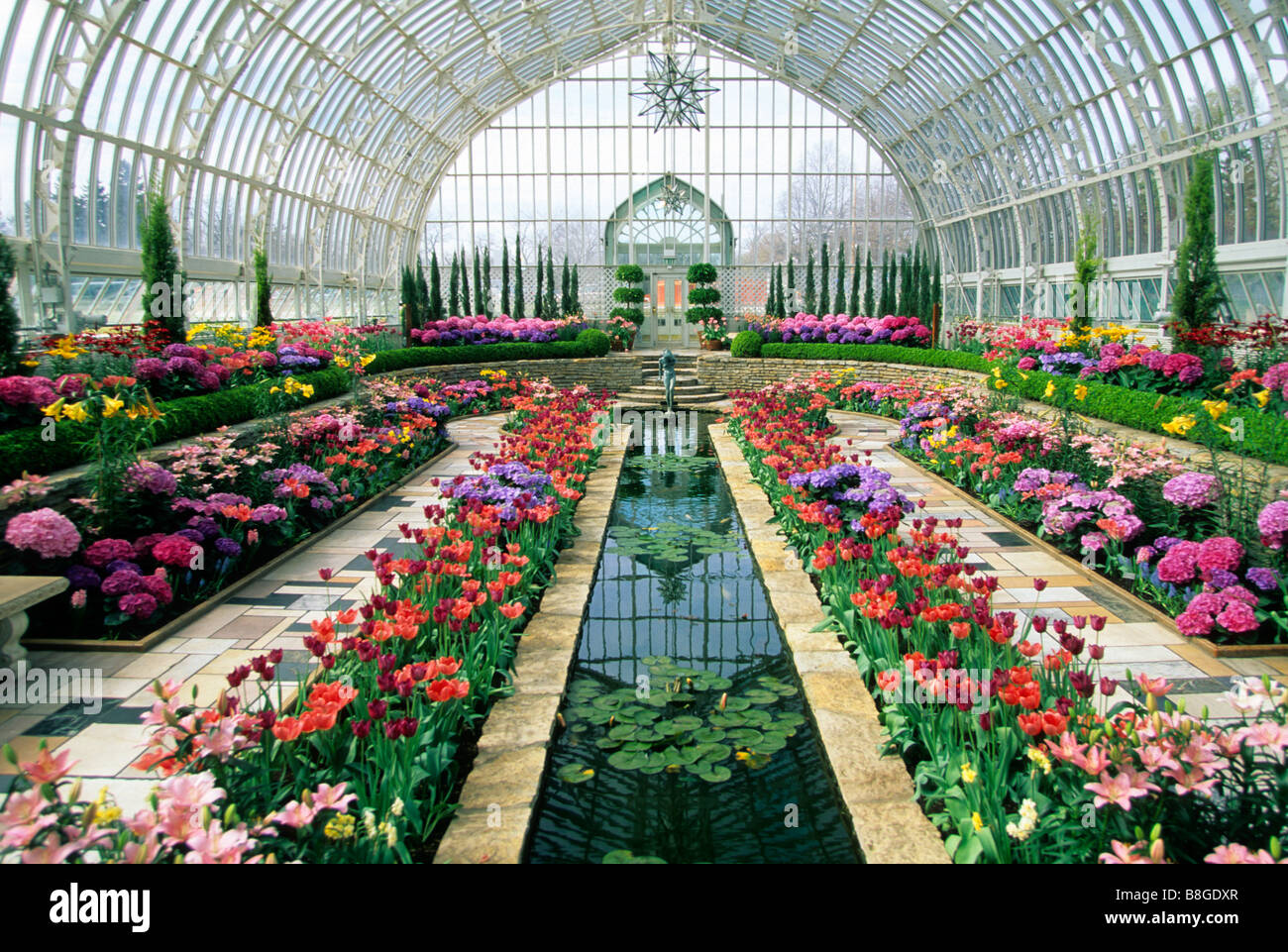SPRING BLOOM DISPLAY AT THE COMO PARK CONSERVATORY IN ST. PAUL