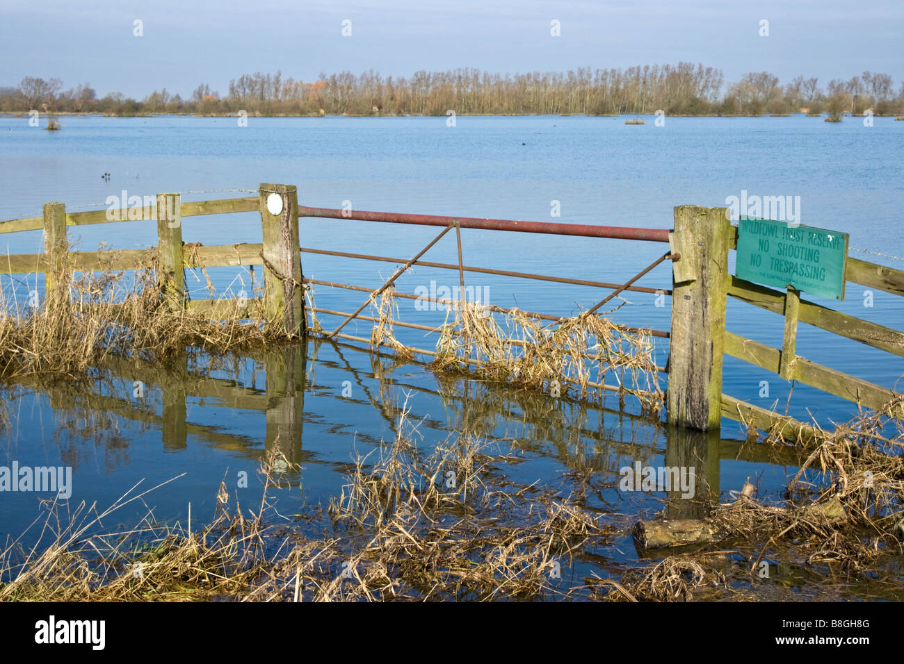 Gate and flood water on the Ouse Washes, Norfolk, England, UK Stock Photo