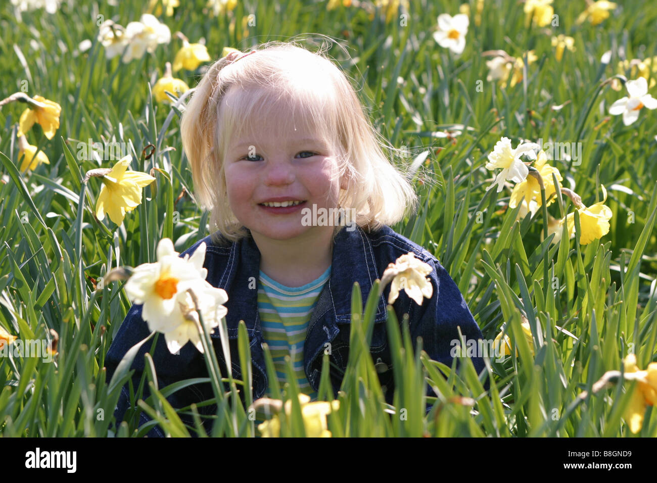 Portrait little girl in daffodil field in springtime smiling between