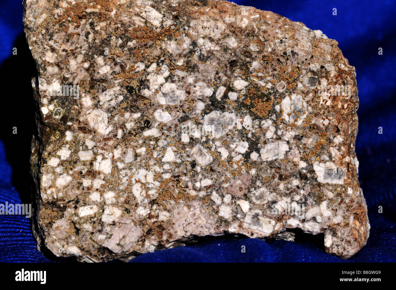 Andesite, a porphyritic volcanic rock. Stock Photo