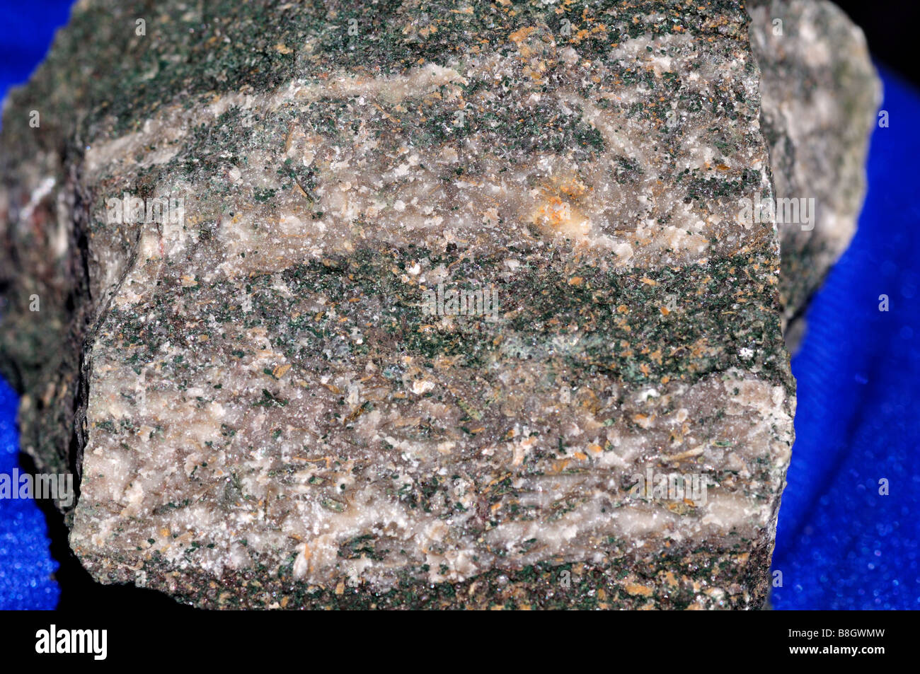 Migmatite consists of biotite and pink feldspar. Stock Photo