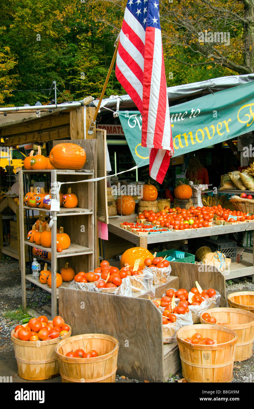 Alyce and Rogers Fruit Stand in Mount Tremper New York USA Stock Photo