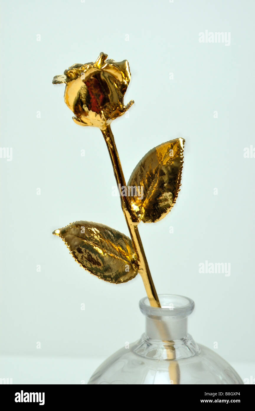 Closeup of a gold plated rose Stock Photo Alamy