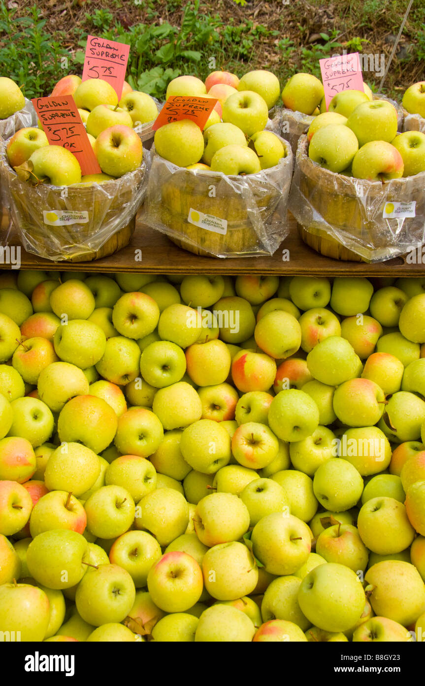 Baskets of green apples for sale at Alyce and Rogers Fruit Stand in Mount Tremper New York USA Stock Photo