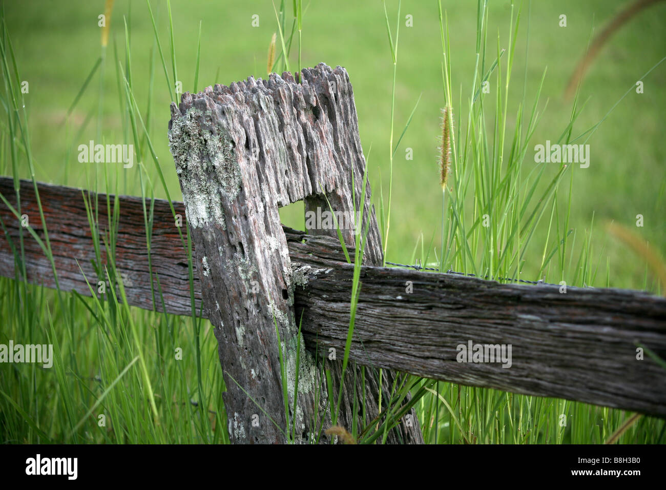 Post and rail fence Stock Photo
