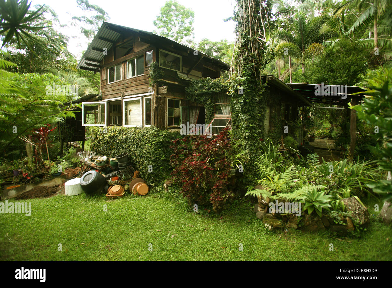 Rain-forest home Stock Photo