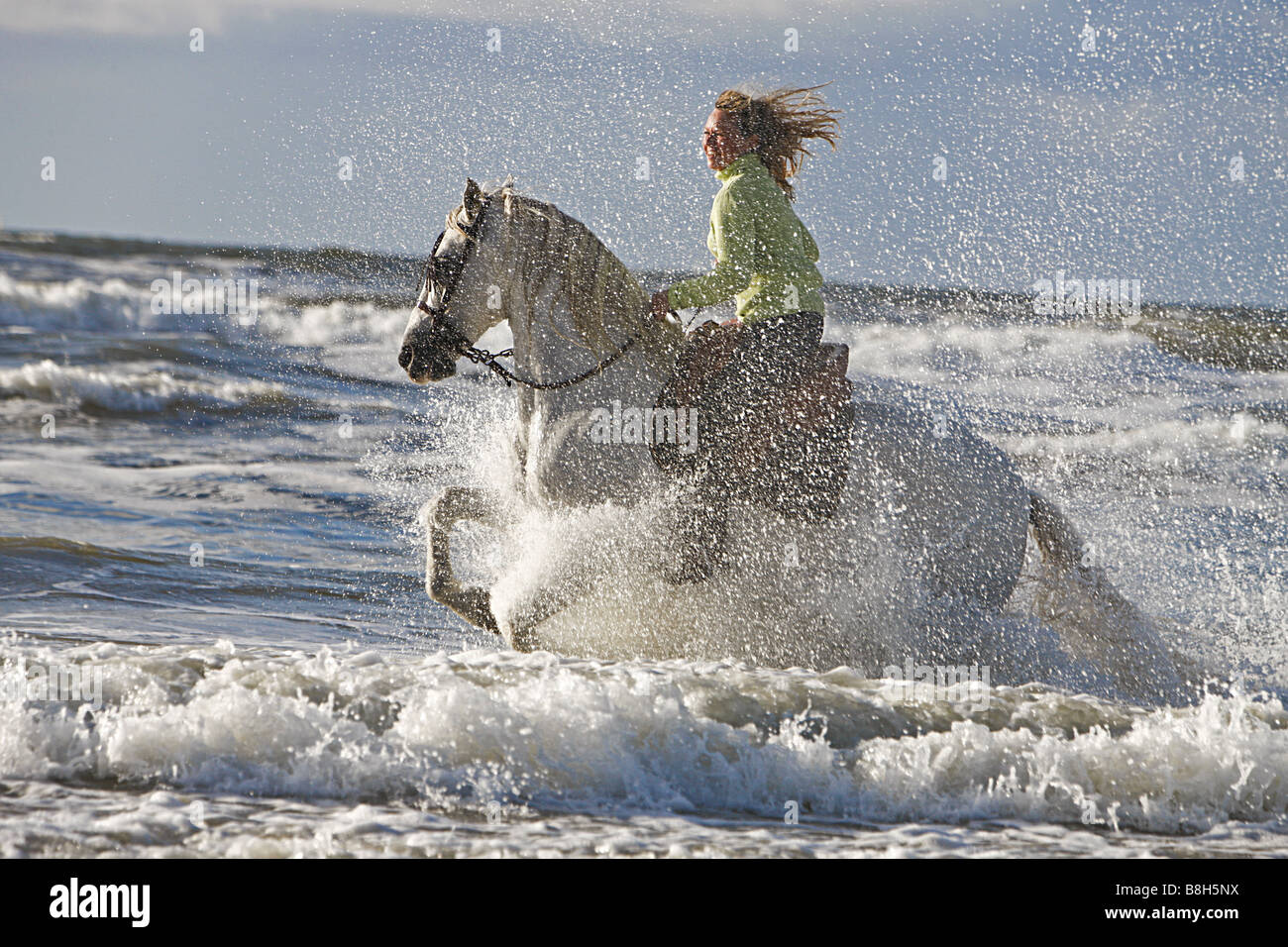 Woman Riding Horse Into Sea High Resolution Stock Photography and ...