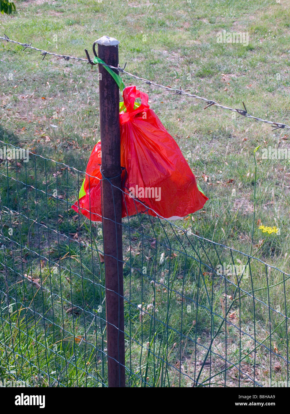 Pouch on the fence Stock Photo