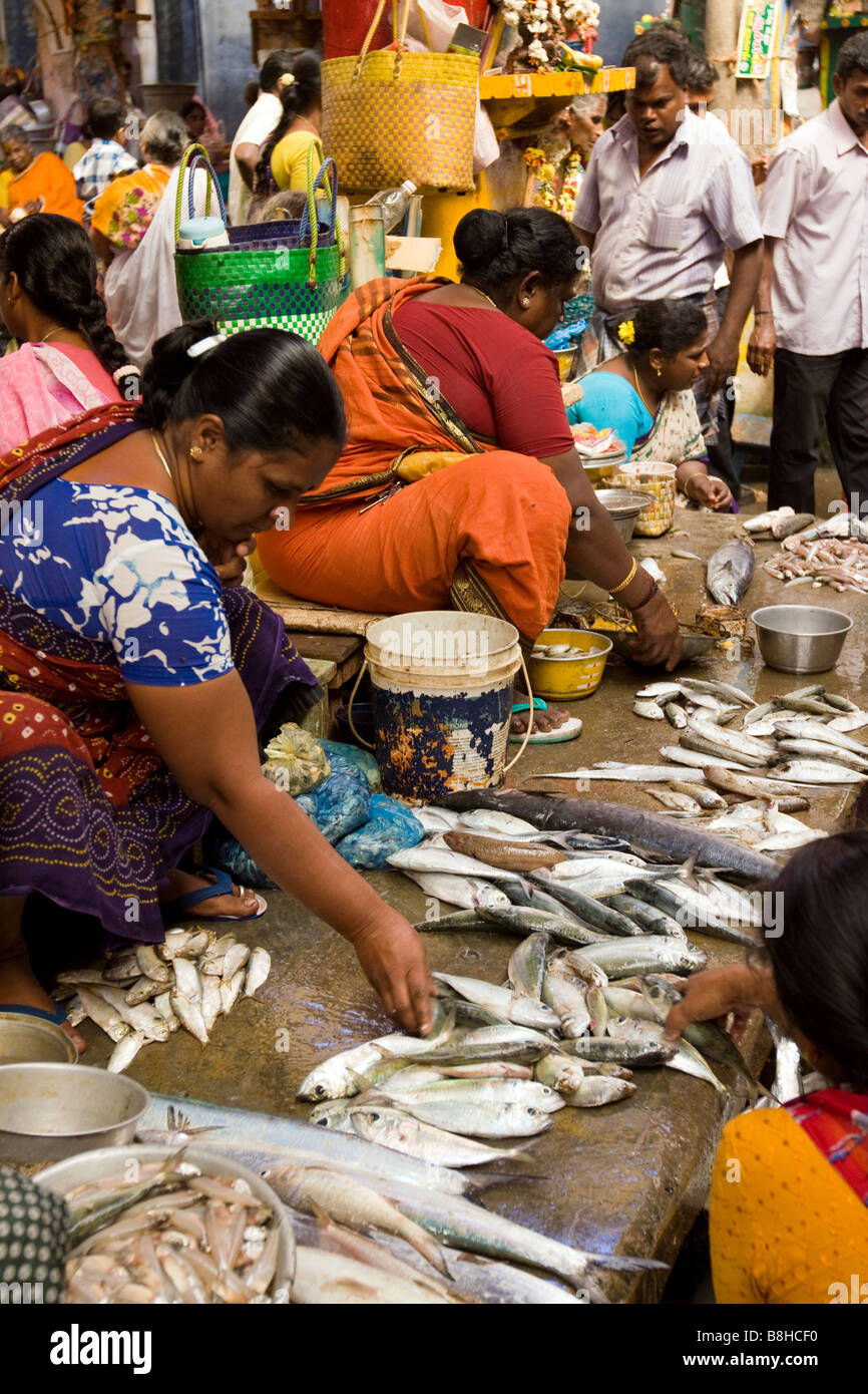 India Pondicherry Main Market stalls selling fresh locally caught fish Stock Photo