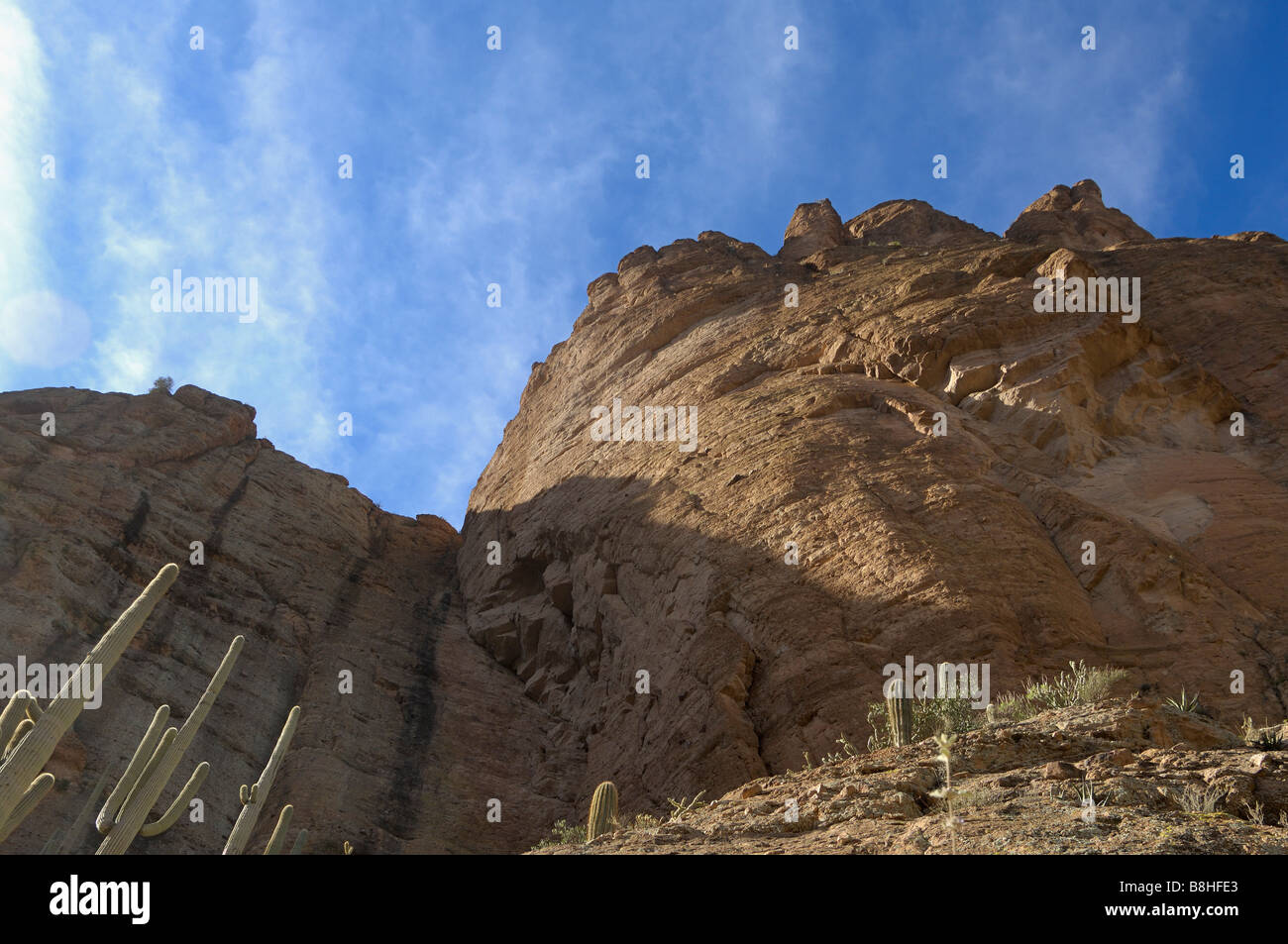 Looking up from Fish Creek Canyon along the Apache Trail in Arizona