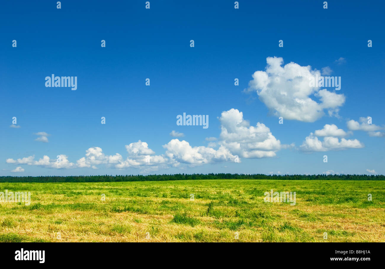 green field and blue cloudy sky background Stock Photo - Alamy