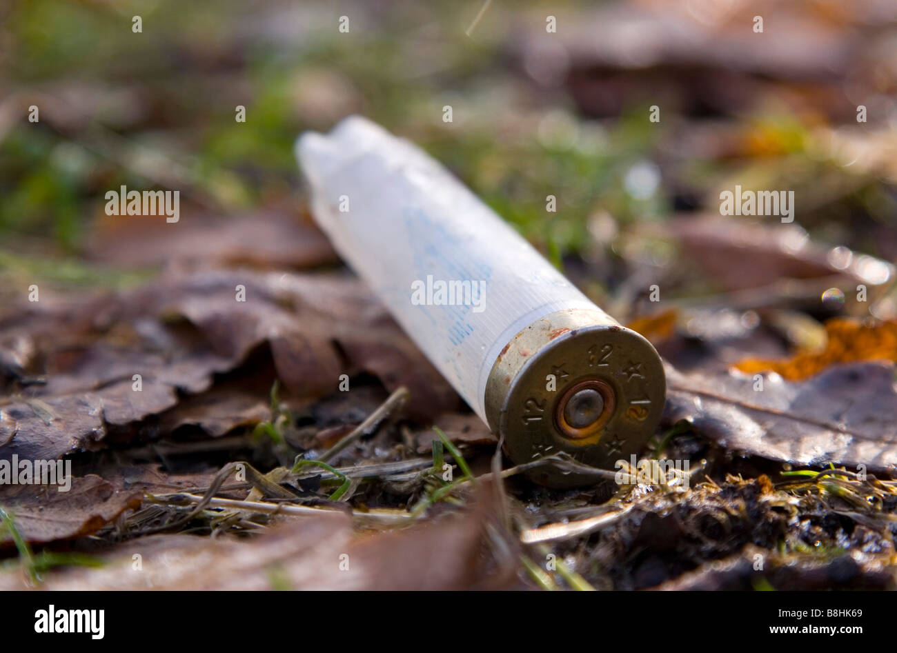 A shotgun cartridge left on the gowned in a woodland. Stock Photo