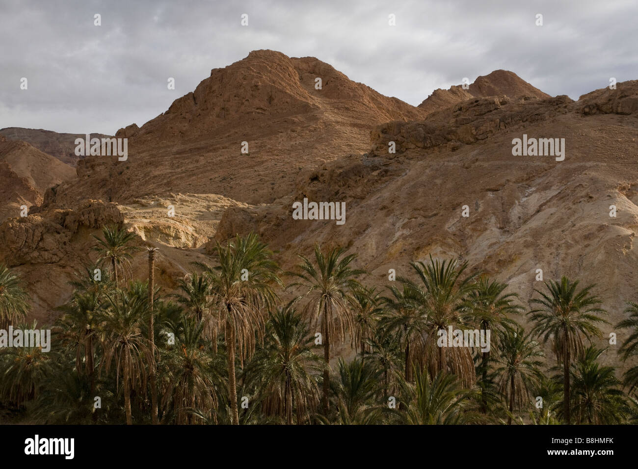The southern Tunisian landscape is distinguished by the impressive red Atlas mountains and oases of palm groves Stock Photo