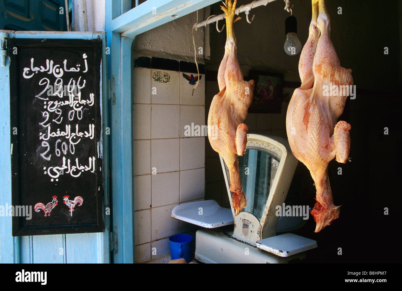 Butcher and chicken in Chefchaouen Xauen Chauem Rif Morocco Stock Photo