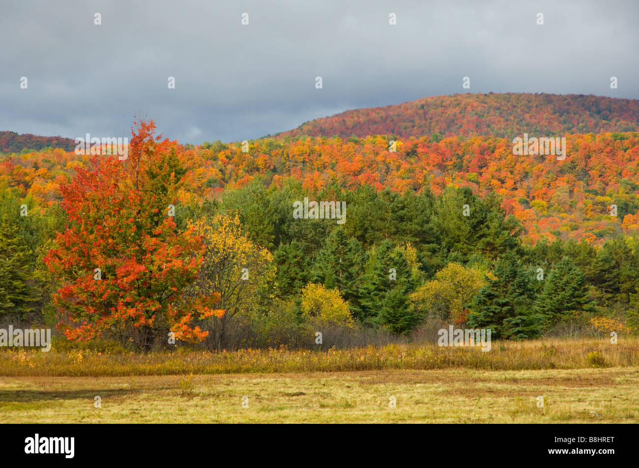 The Adirondack Mountains ablaze in fall foliage color in New York State