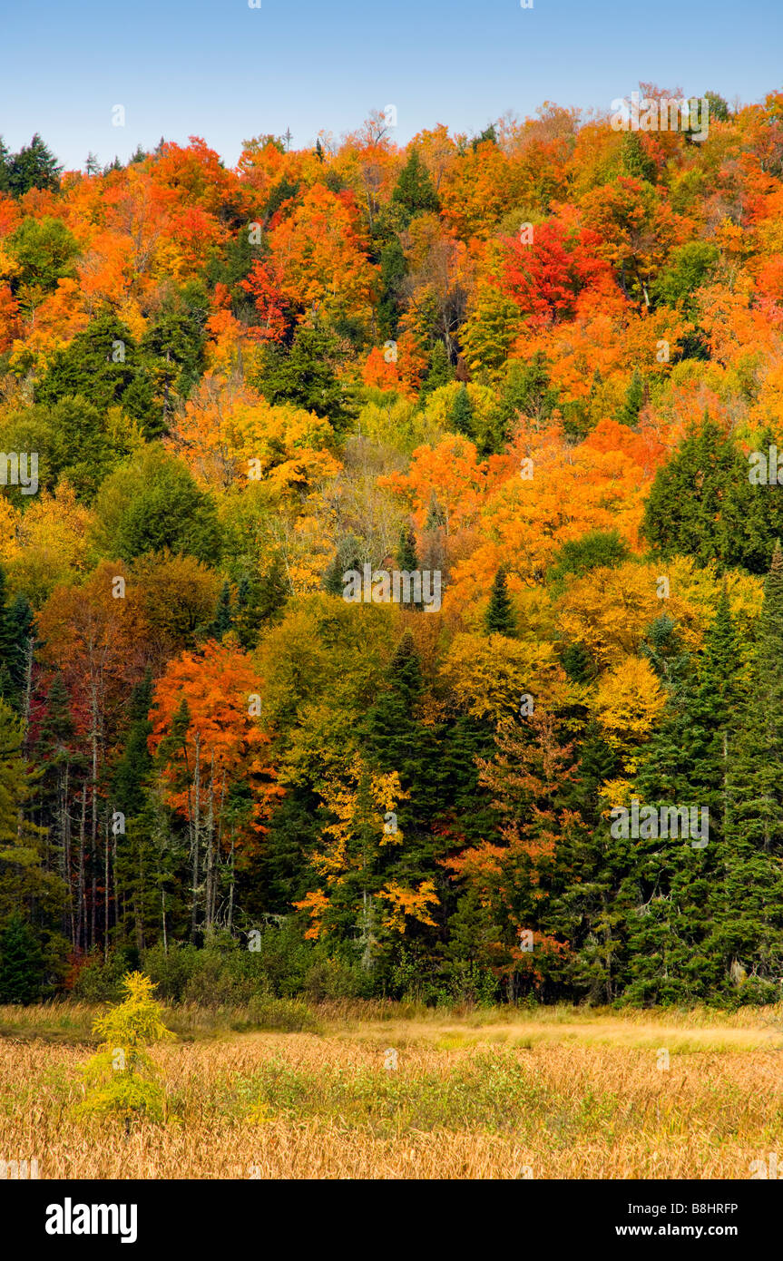 The Adirondack Mountains ablaze in fall foliage color in New York State