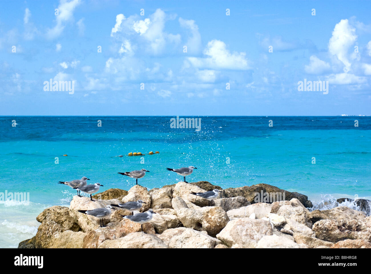 Tropic vacations hi-res stock photography and images - Alamy