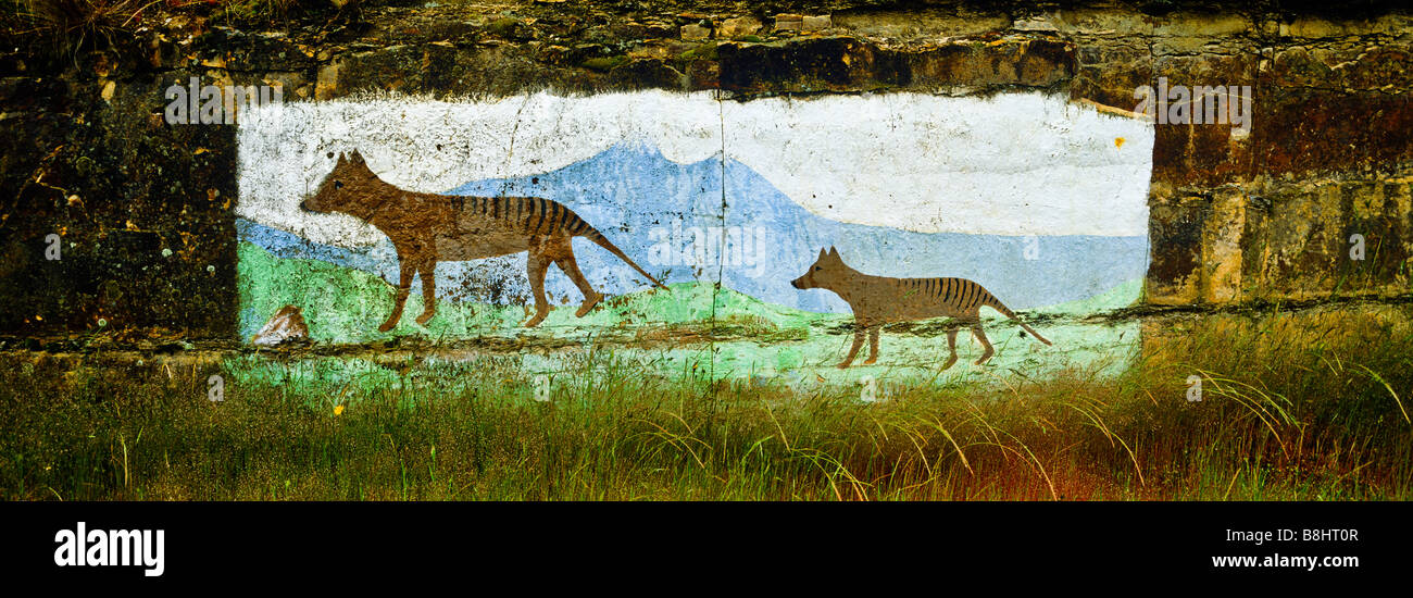 Tasmanian Tiger mural, Tasmania, Australia Stock Photo