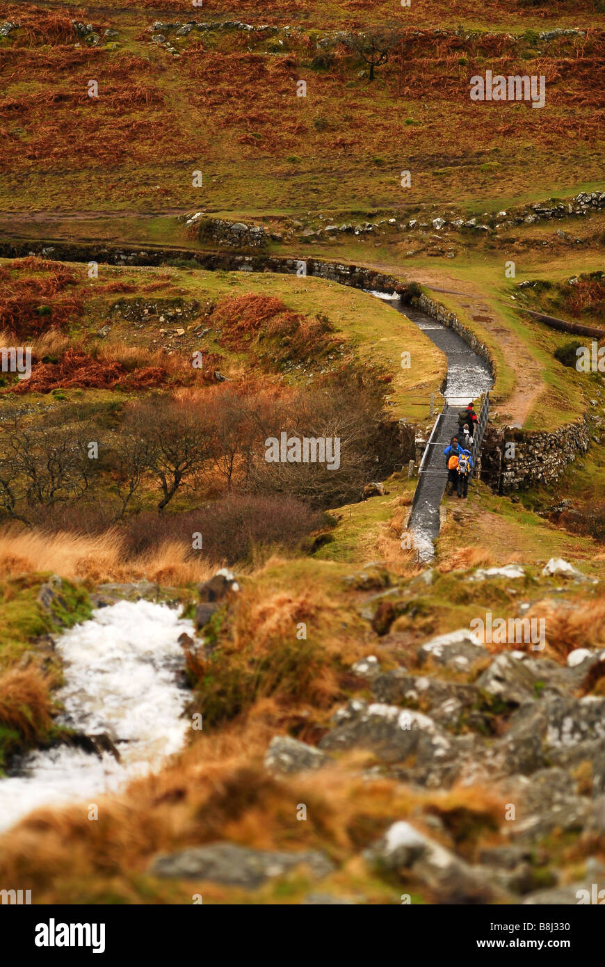 the devonport leat flowing downward across the moor ,walkers walking along side the leat Stock Photo