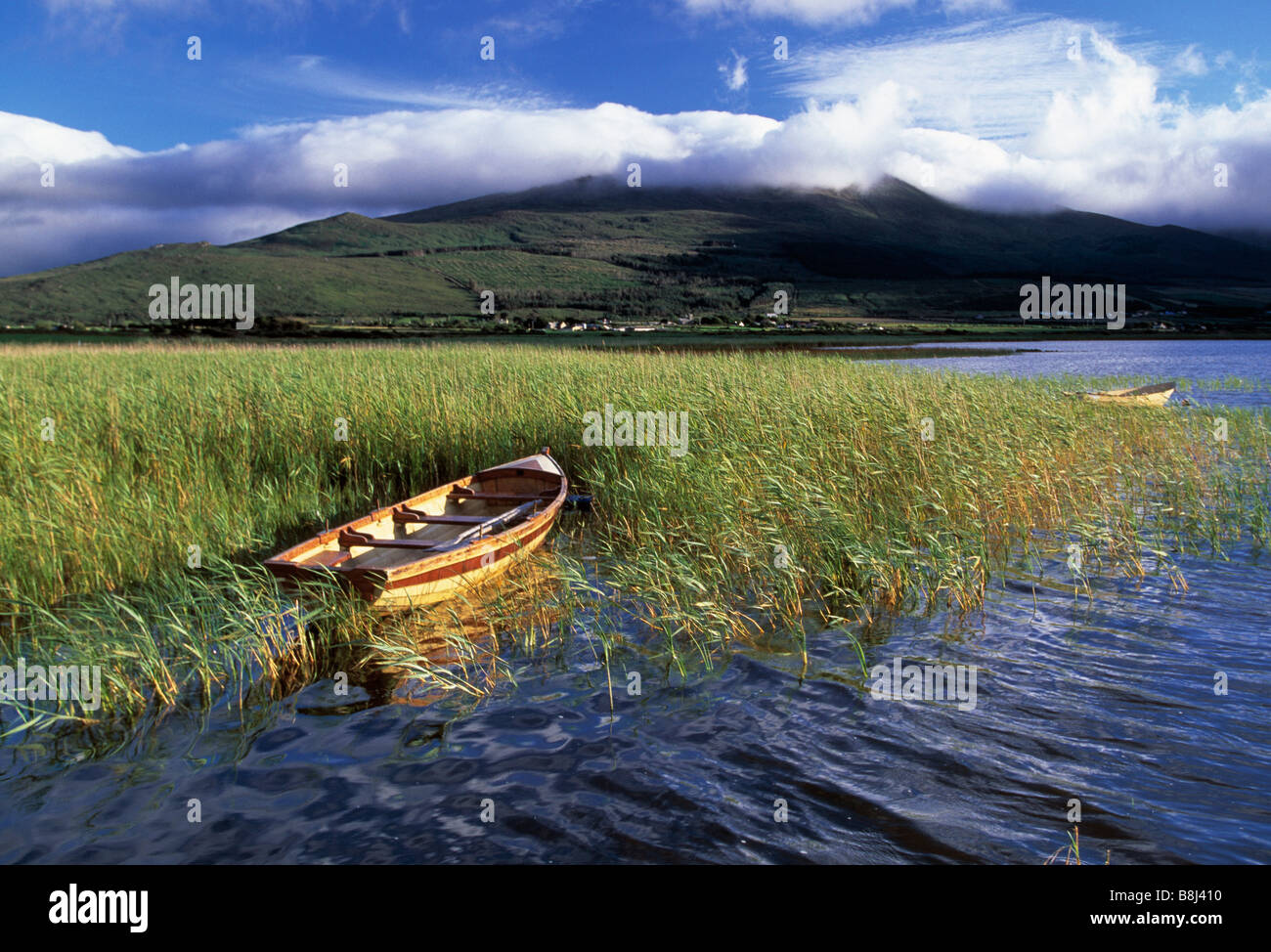 small fishing boat lying on the reeds in one of irelands  inland lake, beauty in nature, Stock Photo