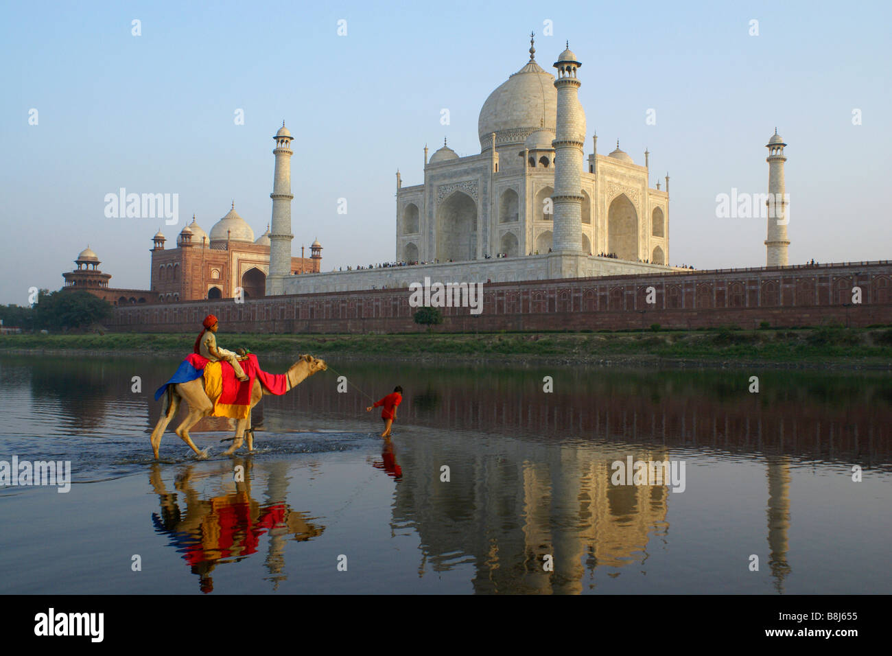 Camel crossing Yamuna River with Taj Mahal in background, Agra, India Stock Photo