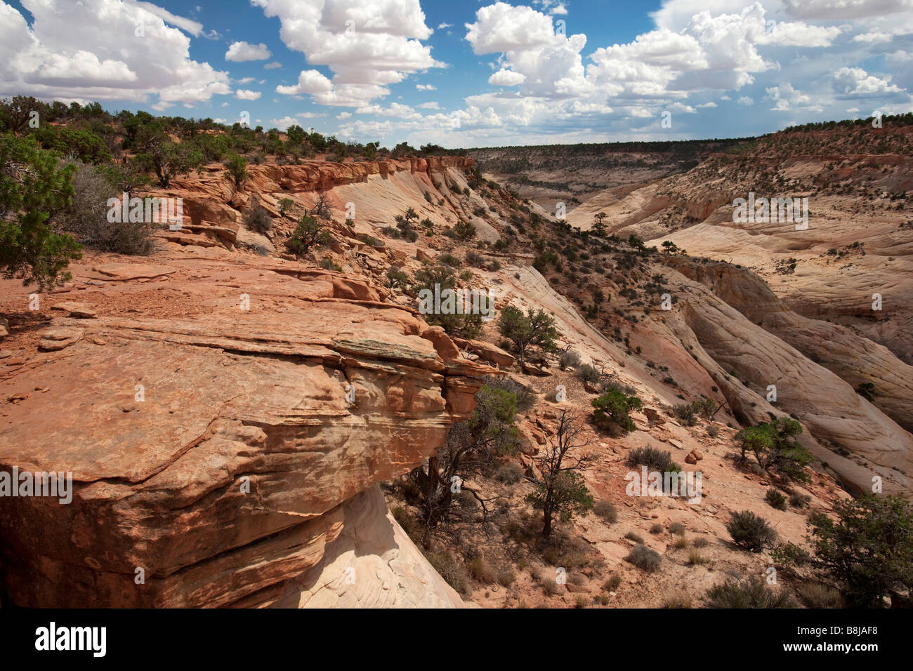 Eroding Canyon Exposing Crossbedded Sandstone Grand Staircase Escalante National Monument Utah Stock Photo