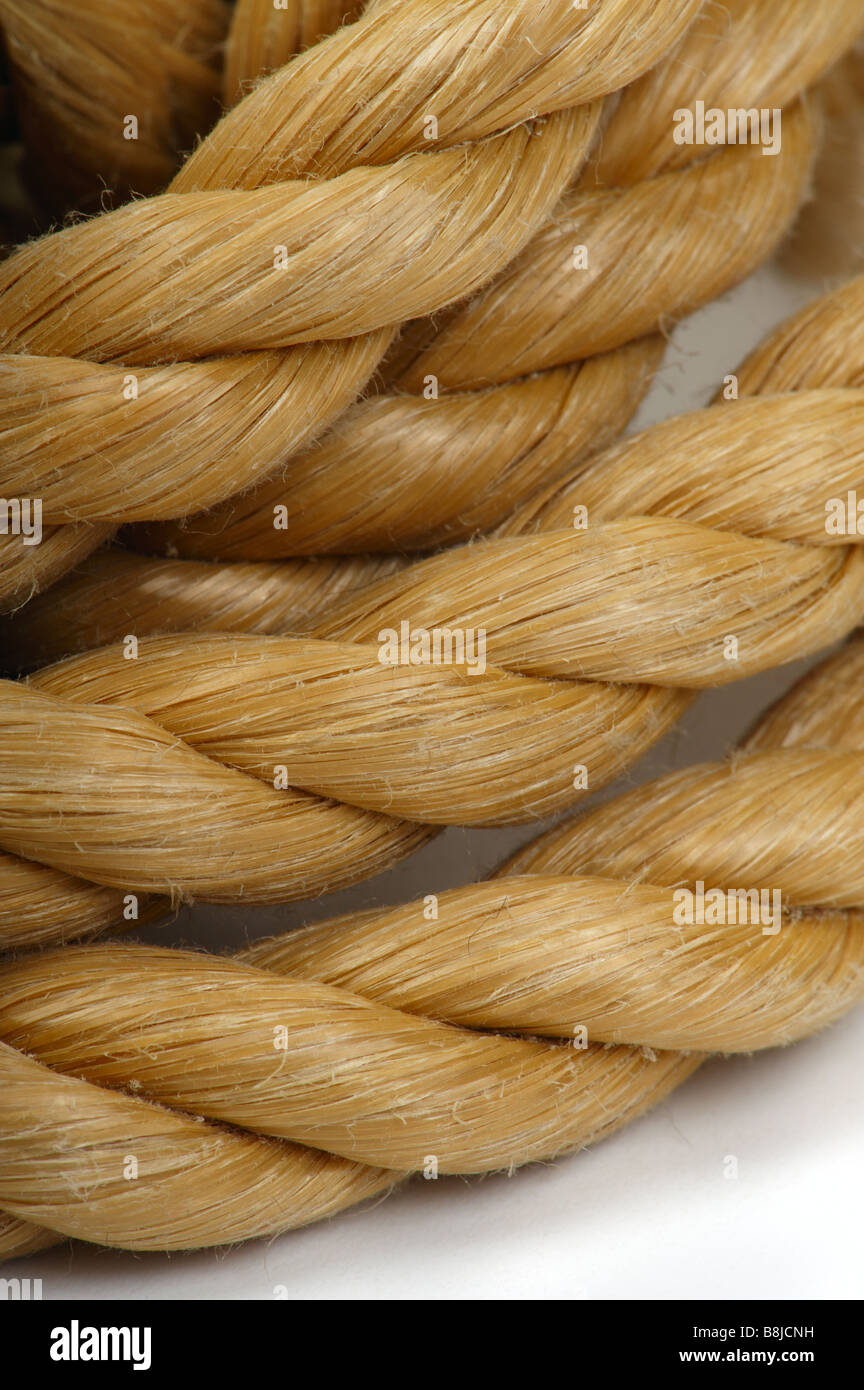 Thick rope on a white background Stock Photo
