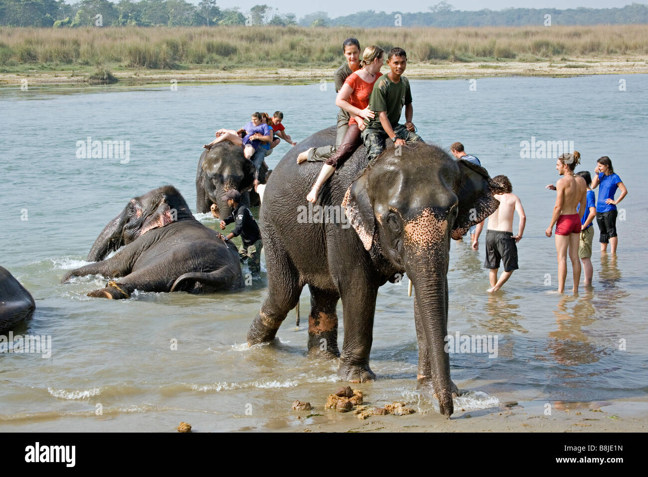 Elephant bathing with tourists in Rapti Rapoti river in Royal Chitwan National Park Nepal Stock Photo