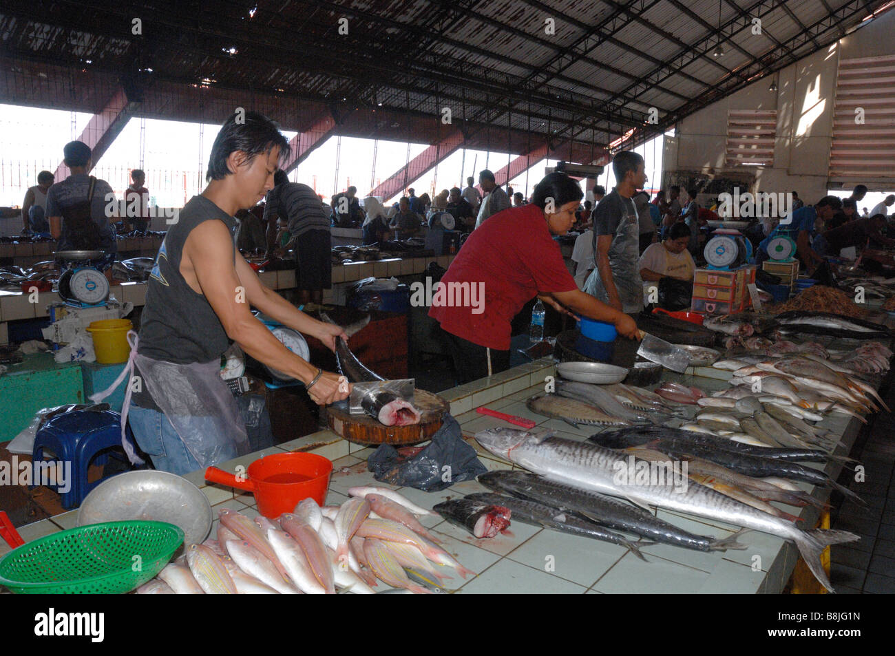 Malyasia Stock Photos & Malyasia Stock Images - Alamy