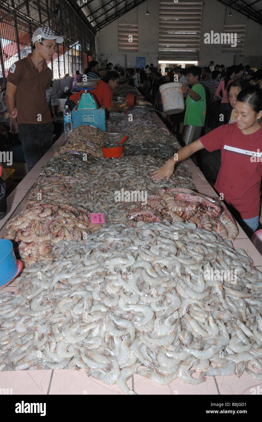 Prawns for sale interior of SAFMA fish market Kota Kinabalu Sabah