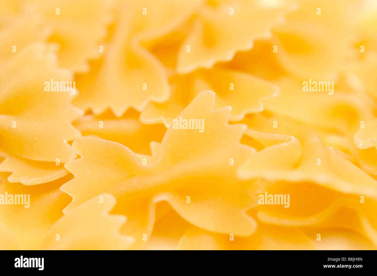 farfalle pasta close up food dried egg flour bow tie wheat shaped durum