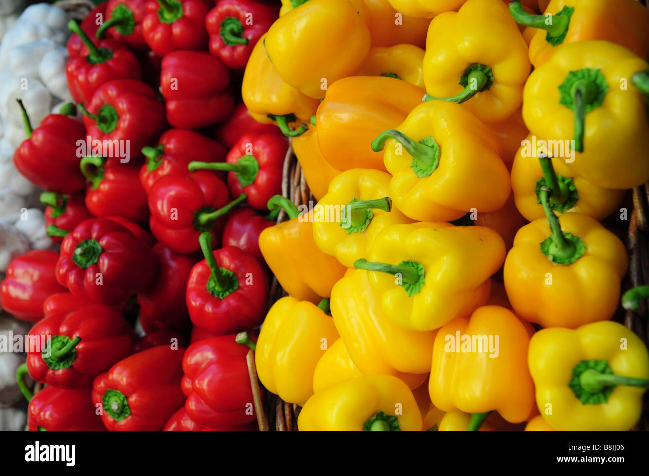 Whole red and yellow peppers arranged on a market stall with only the ...