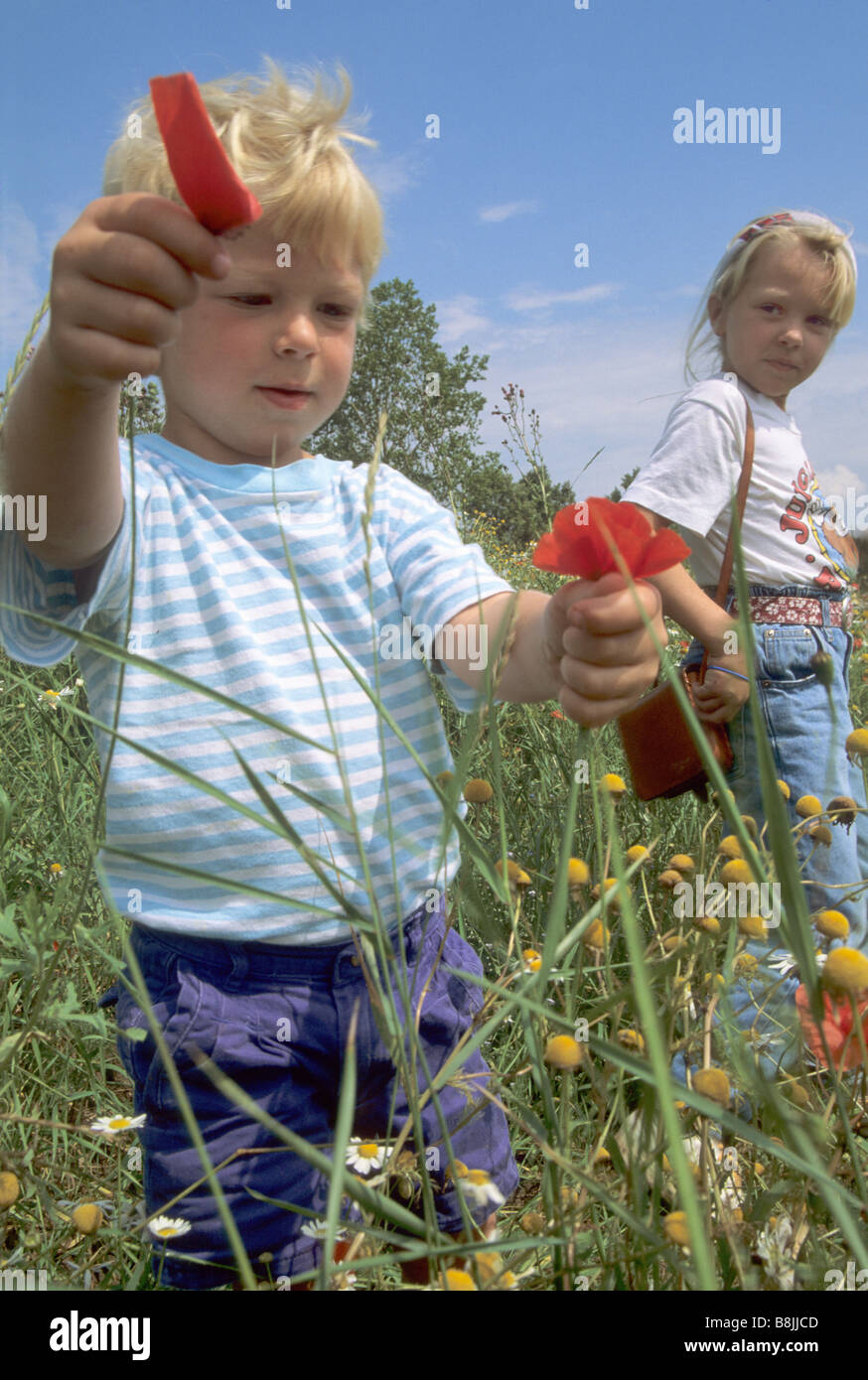 Children at meadow near Ełk in Mazurian Lakes area Poland Stock Photo