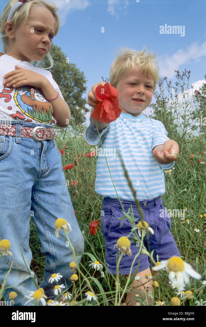 Children at meadow near Ełk in Mazurian Lakes area Poland Stock Photo