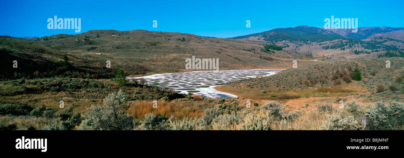 Spotted Lake is a Mineral Lake near Osoyoos in the South Okanagan Valley of British Columbia Canada Stock Photo