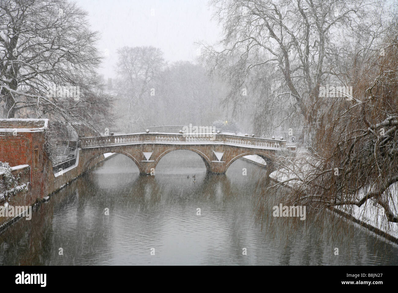 "Clare College Bridge" Cambridge University while it was snowing, river cam and trees covered in snow. English winter. Stock Photo