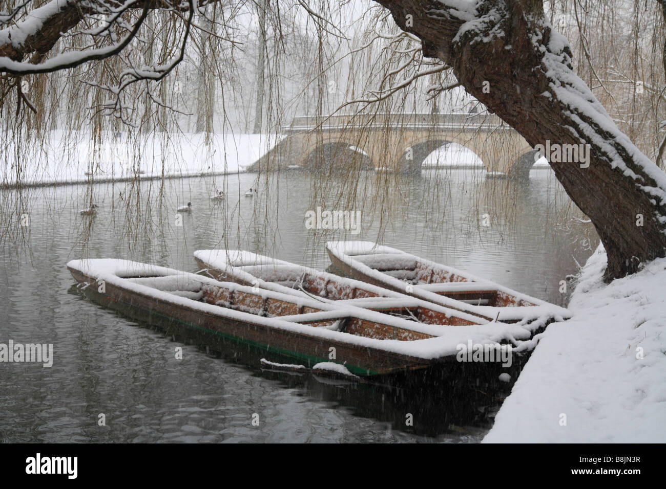 Snow on three 'Trinity College Punts' on the river cam, Cambridge. Heavy snow shower in January. Stock Photo