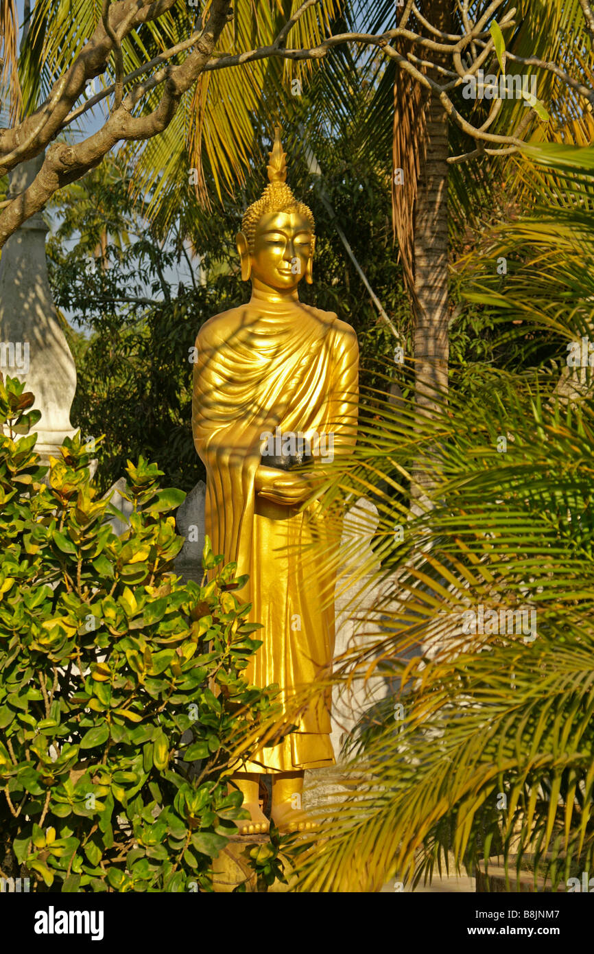 Gold Buddha statue in temple garden, Luang Prabang, Laos Stock Photo