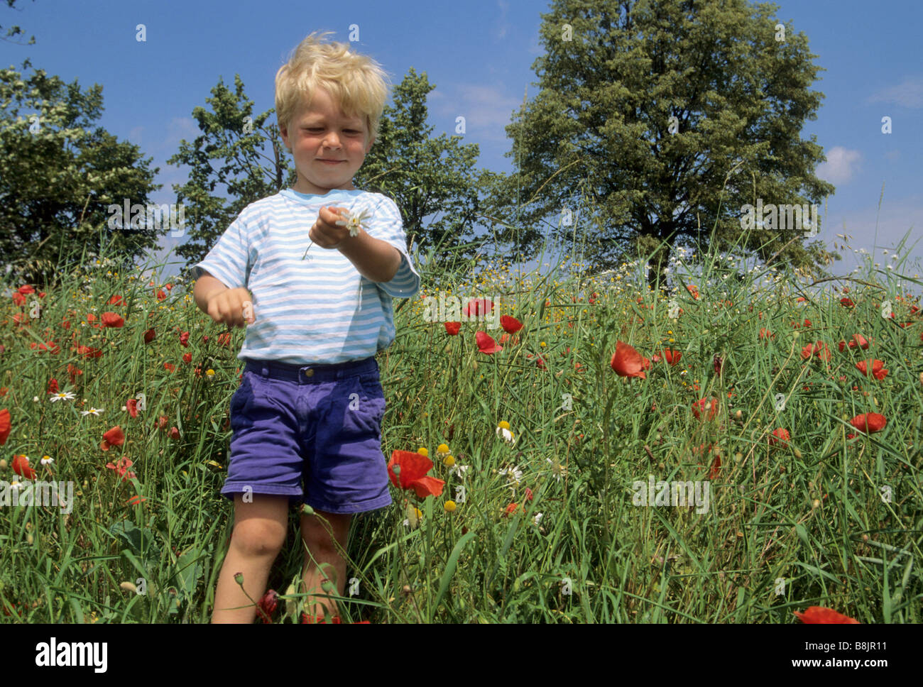 Child at meadow near Ełk in Mazurian Lakes area Poland Stock Photo