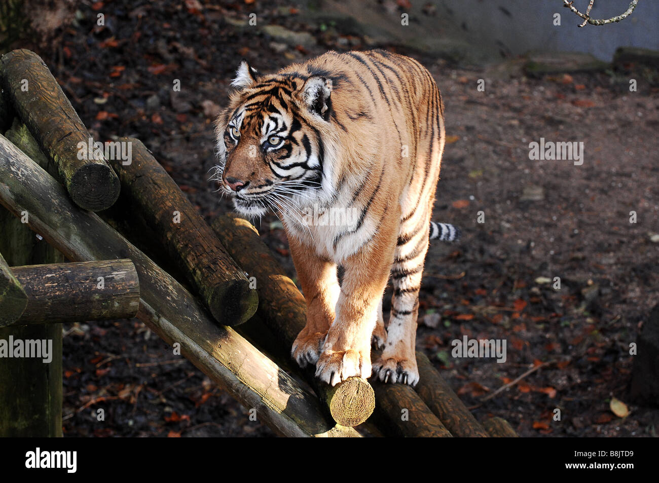 Dudley Zoo Tickets Offers | informacionpublica.svet.gob.gt