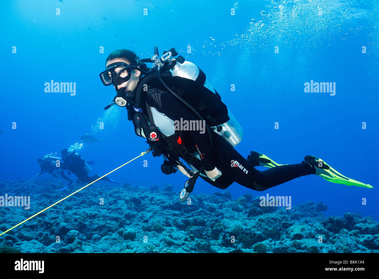 A young female scuba diver tethered to rocky bottom using reef hook in strong ocean current, with other divers in background Stock Photo