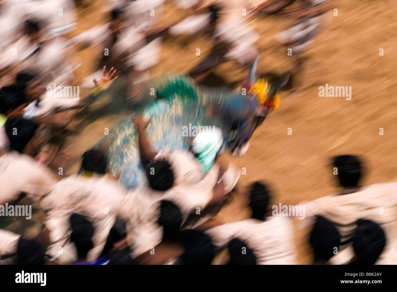 India Tamil Nadu Allanganallur Annual Pongal Jallikkattu bullfight blurred rapid movement Stock Photo