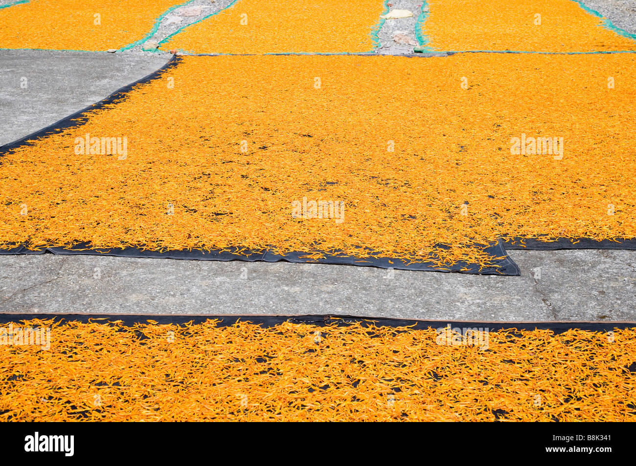 Food hualien county taiwan hi-res stock photography and images - Alamy